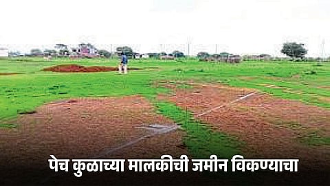 Agriculture Land