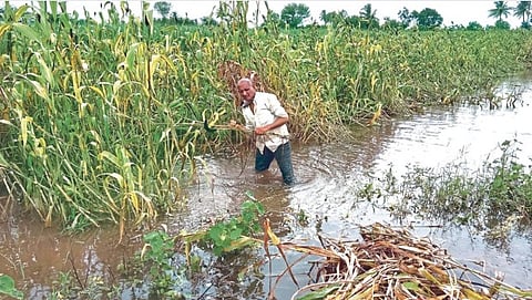 Kolhapur Flood 