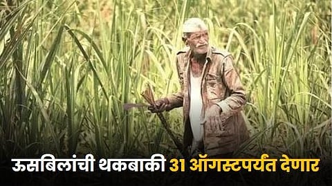 Sugarcane Bills