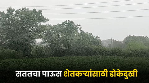 Monsoon Rain