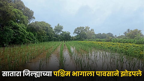 Rain Alert