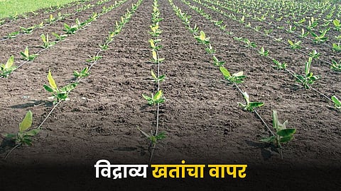 Fertilizers Use