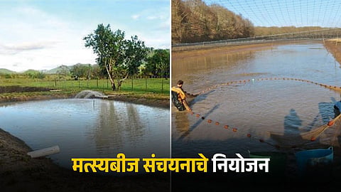 Fish Farming