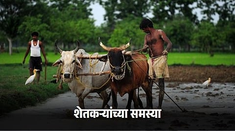 Indian Farmer Issue
