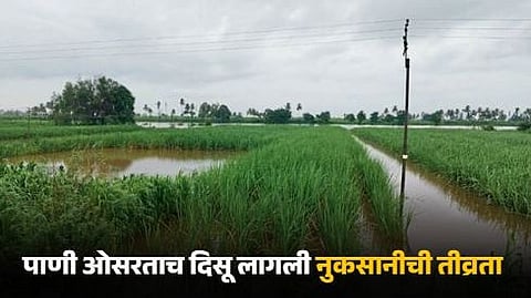 Rain Update 