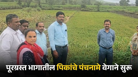 Crop Survey