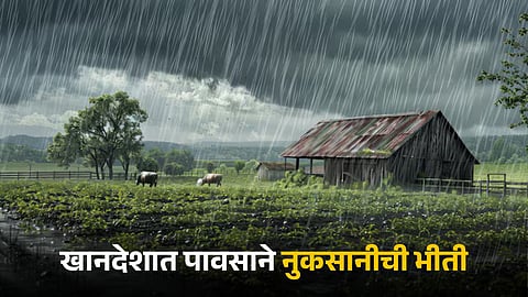 Rain