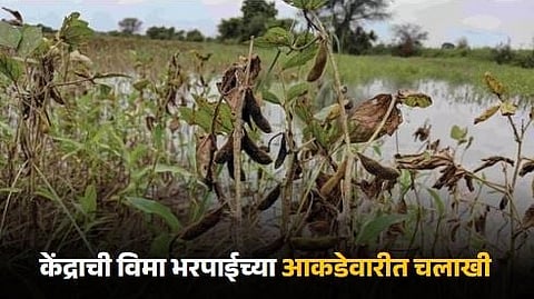 Crop Insurance