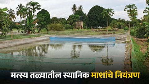 Fish Farming