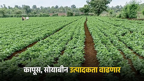 Agriculture