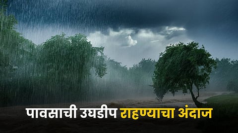 Monsoon Rain