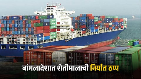 Agricultural Export