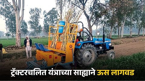 Sugarcane Farming Management