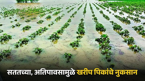 Kharif Crop Damage