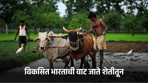 Indian Agriculture