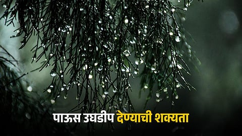 Monsoon Rain