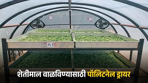 Polytunnel Dryer 