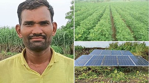 Indian Agriculture