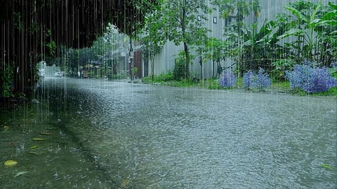 Monsoon Rain