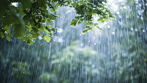 Monsoon 