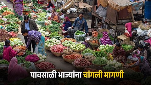 Vegetable Market