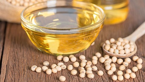 Oil Seed 