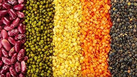 Pulses Market