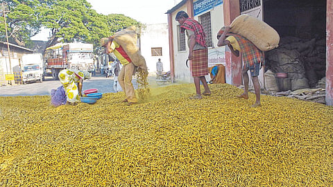 Turmeric 