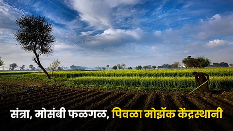 Indian Agriculture