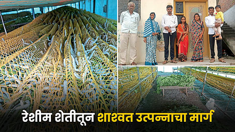 Silk Farming