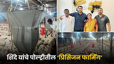 Poultry 'Precision Farming' 