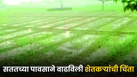 Rain Issue