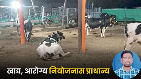 Animal Management