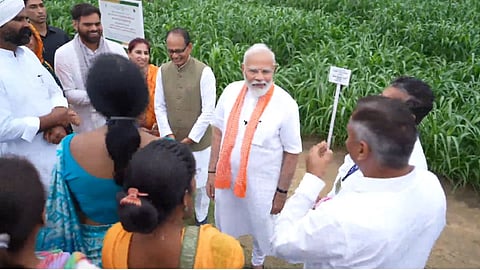 Indian Agricultural Research