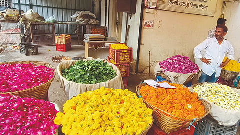 Marigold Market 