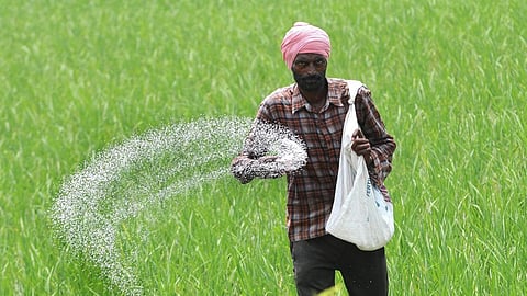Agriculture Officer