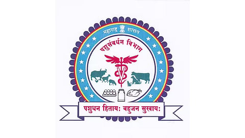 Animal Husbandry Department