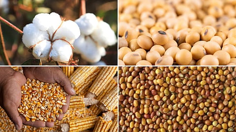 Agriculture Market