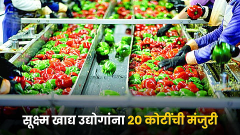 Micro Food Industry