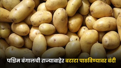 Potato Market