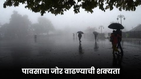 Rain
