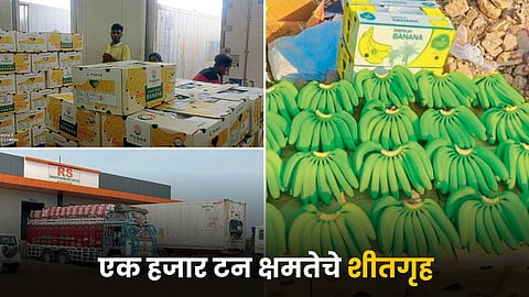 Agriculture Cold Storage 