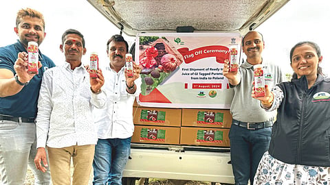 Fig Juice Export