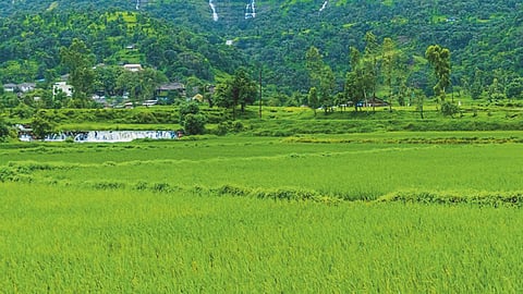 Gayran Land