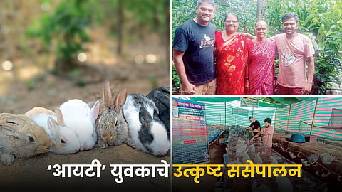 Rabbit Rearing