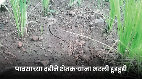 Farmer Issue
