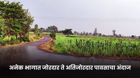 Monsoon Rain