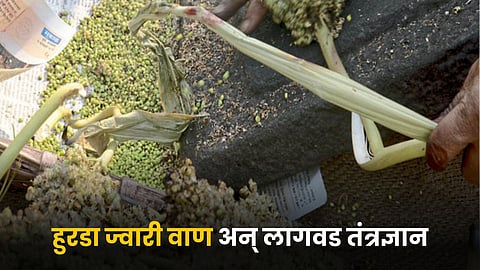 Crop Cultivation Technology 