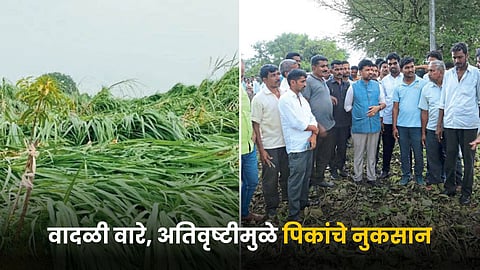 Crop Damage