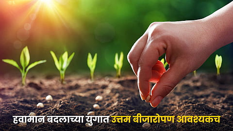 Agriculture Seeding 